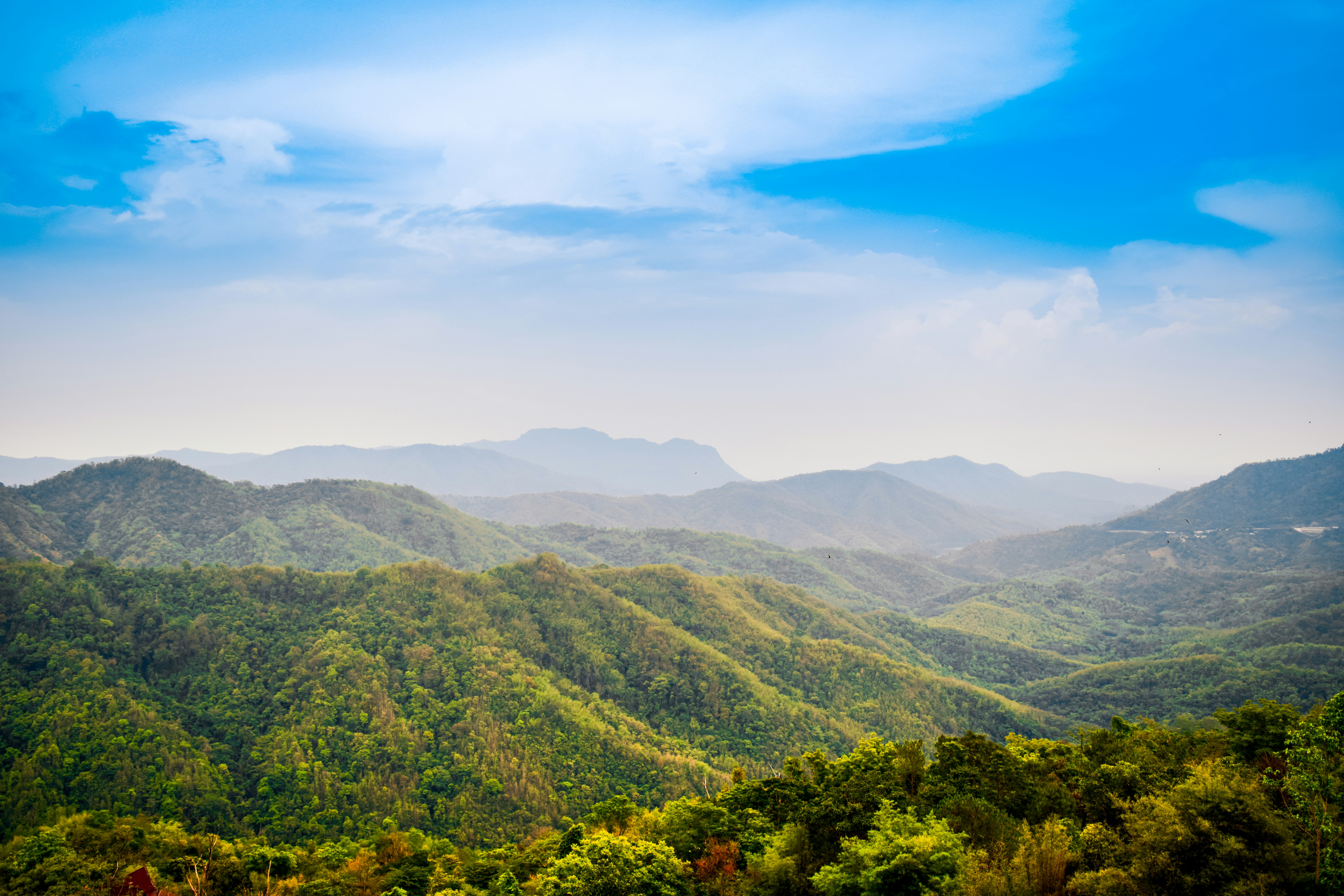Coorg
